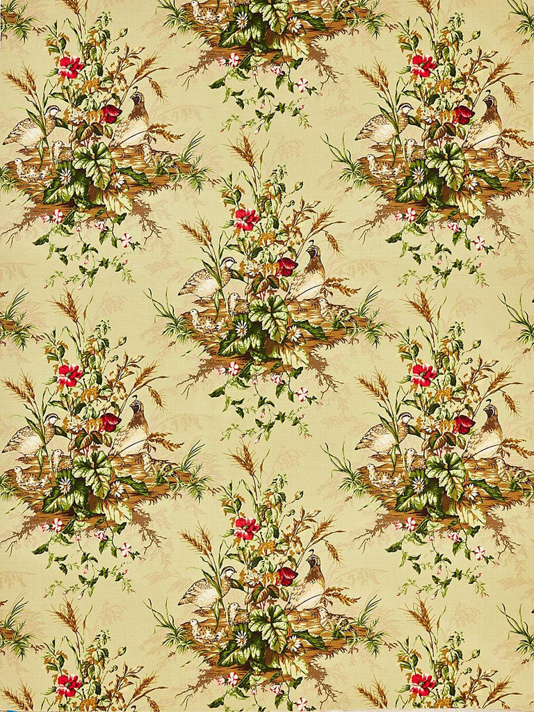 Scalamandre EDWIN'S COVEY LINEN PRINT MULTI ON WILLOW Fabric