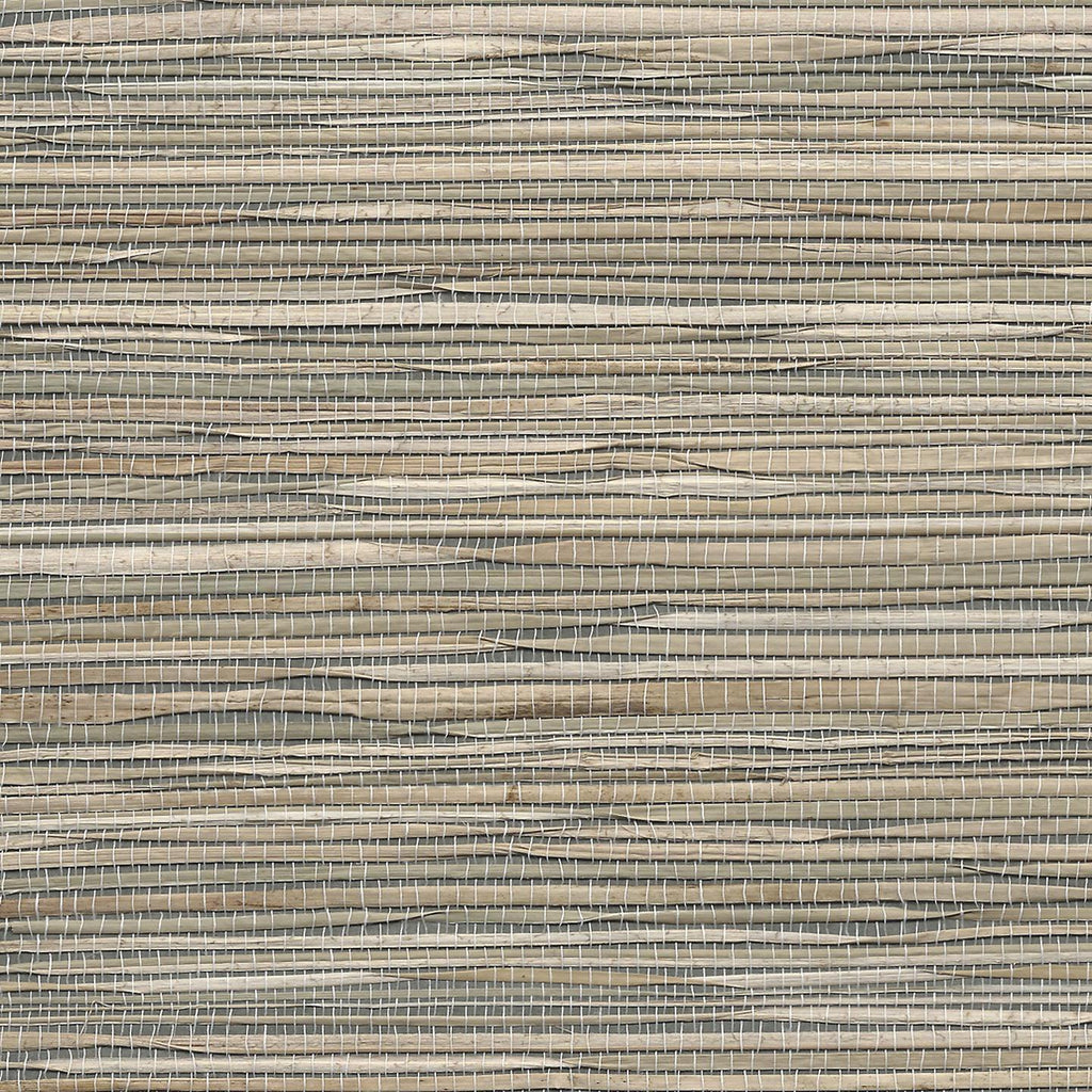 Phillip Jeffries Great Grasses - Shoreline Grass and Grass Roots Generation Grey Wallpaper