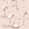 Cole & Son Flamingos Plaster Pink Wallpaper