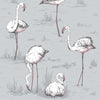 Cole & Son Flamingos Grey Wallpaper