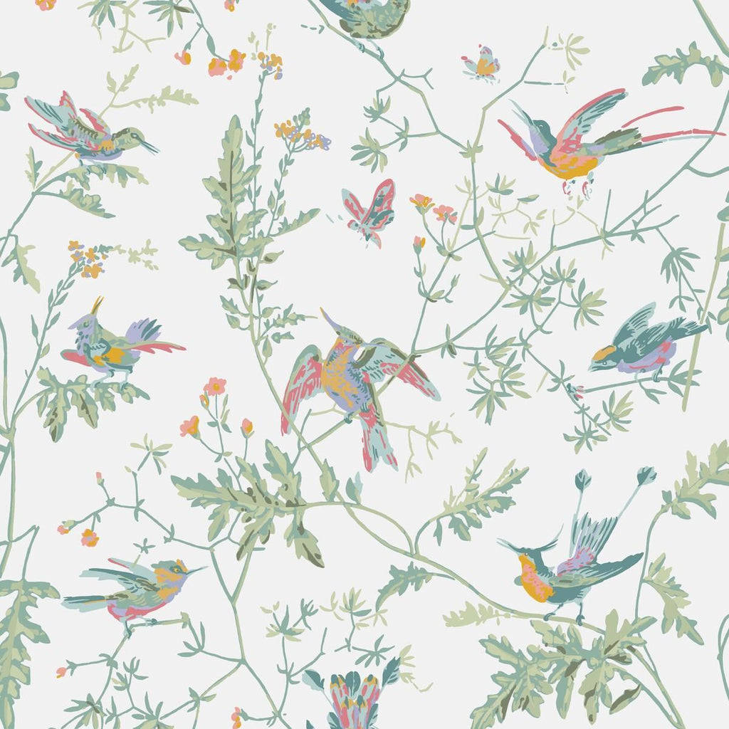 Cole & Son HUMMINGBIRDS PASTEL Wallpaper