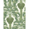 Cole & Son Hollywood Palm Leaf Green Wallpaper