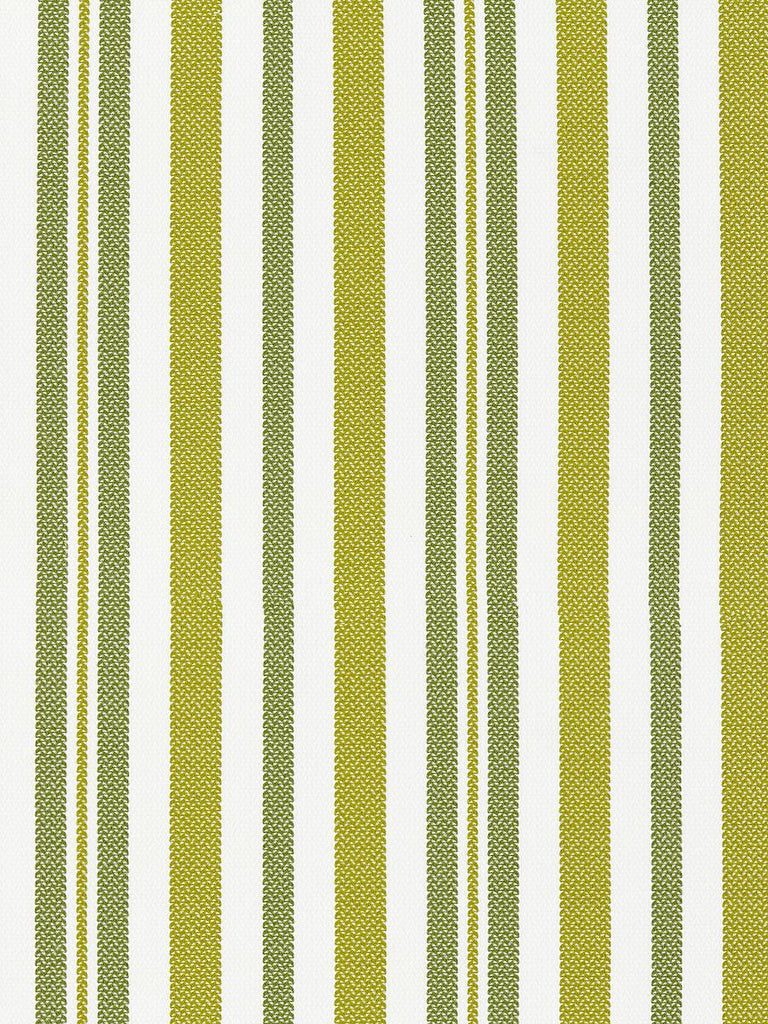 Scalamandre Santorini Stripe Palm Fabric