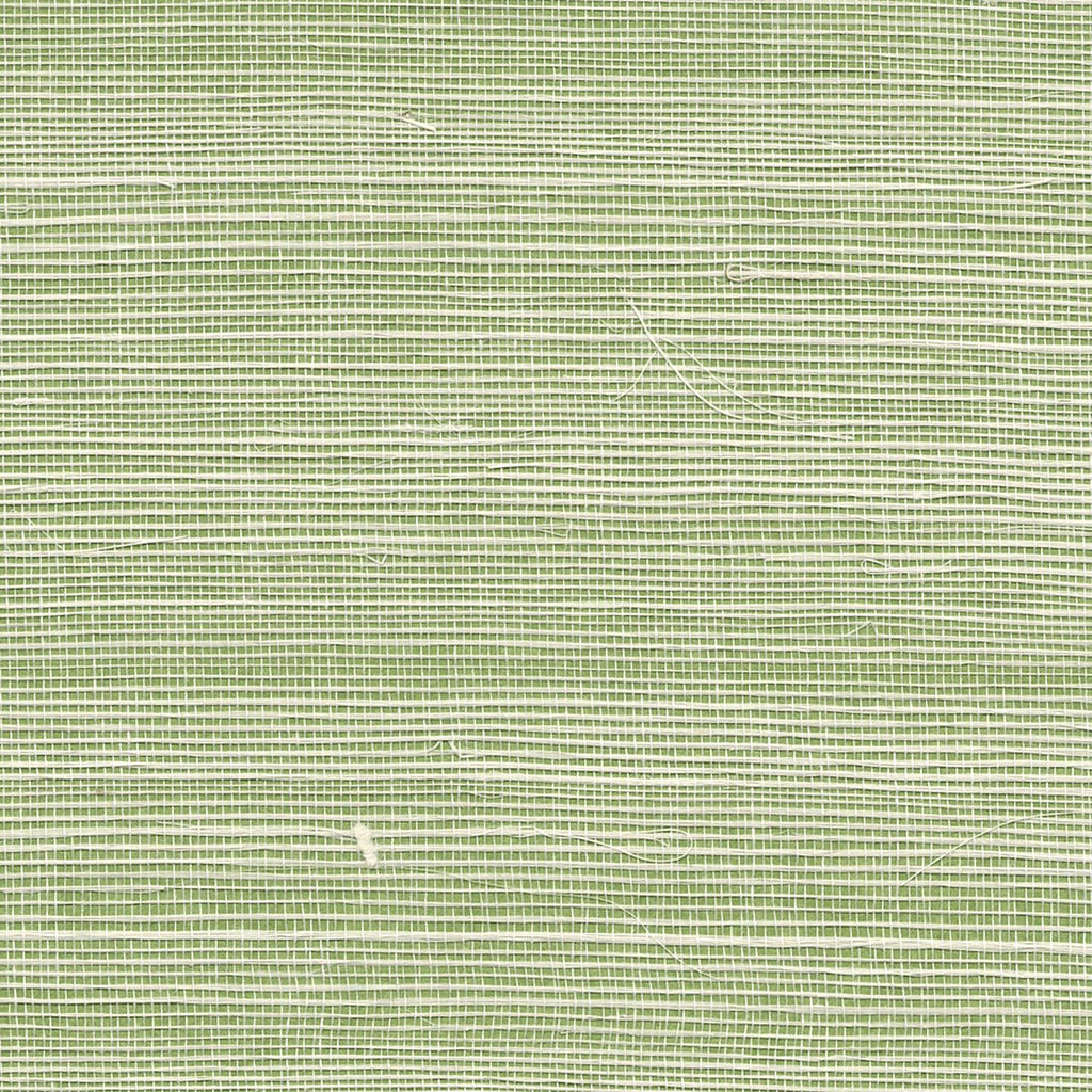 Phillip Jeffries Bermuda Hemp Grass Green Wallpaper