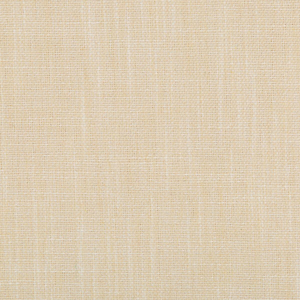 Kravet KRAVET SMART 35226-116 Fabric