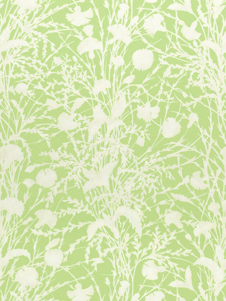 Grey Watkins WILDFLOWER GRASSHOPPER Fabric