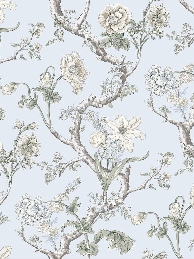Scalamandre Andrew Jackson Floral Skylight Wallpaper