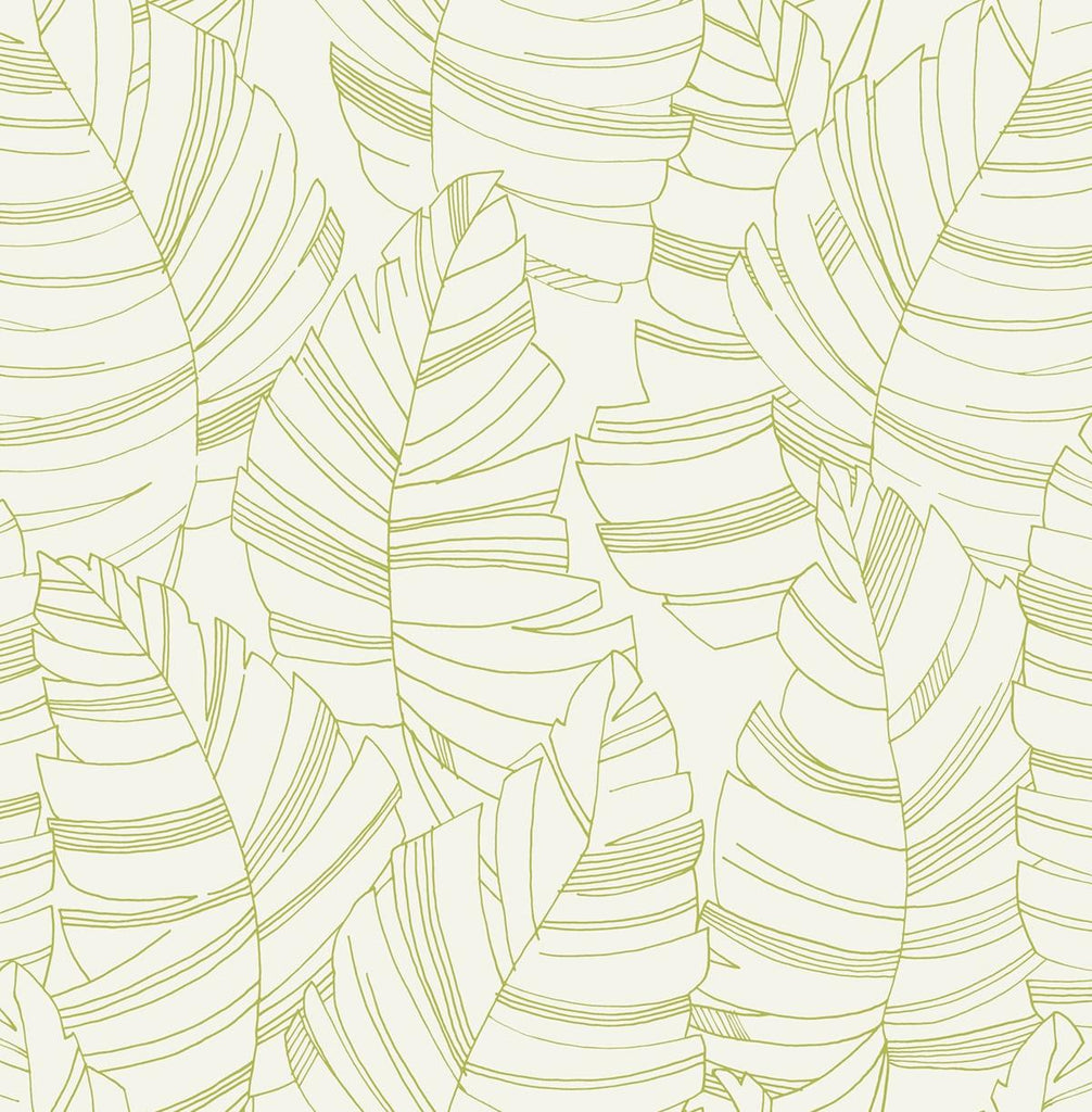 Seabrook Jungle Leaves Green Wallpaper