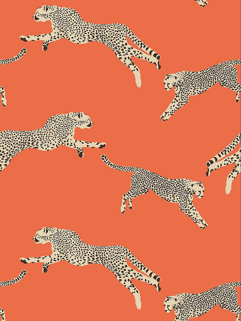 Scalamandre Leaping Cheetah Clementine Wallpaper
