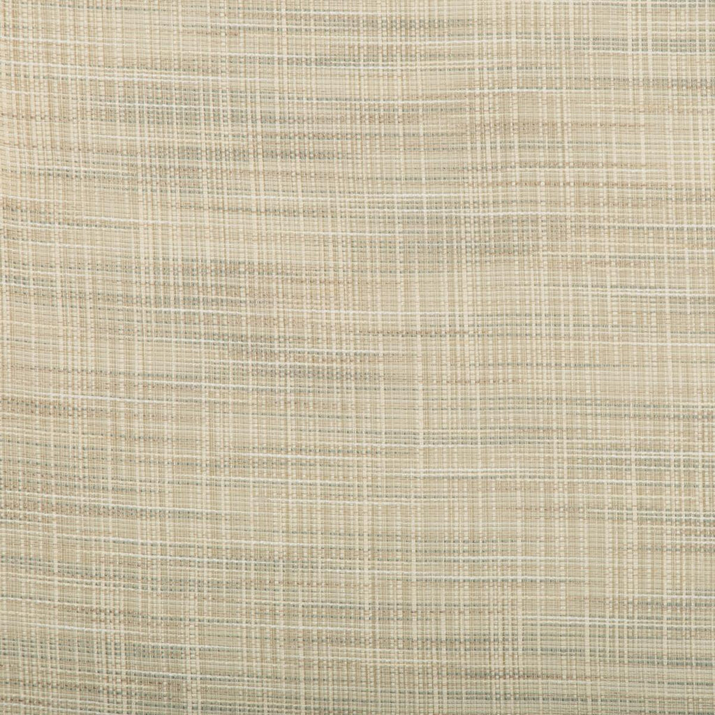 Kravet KRAVET BASICS 4666-135 Fabric