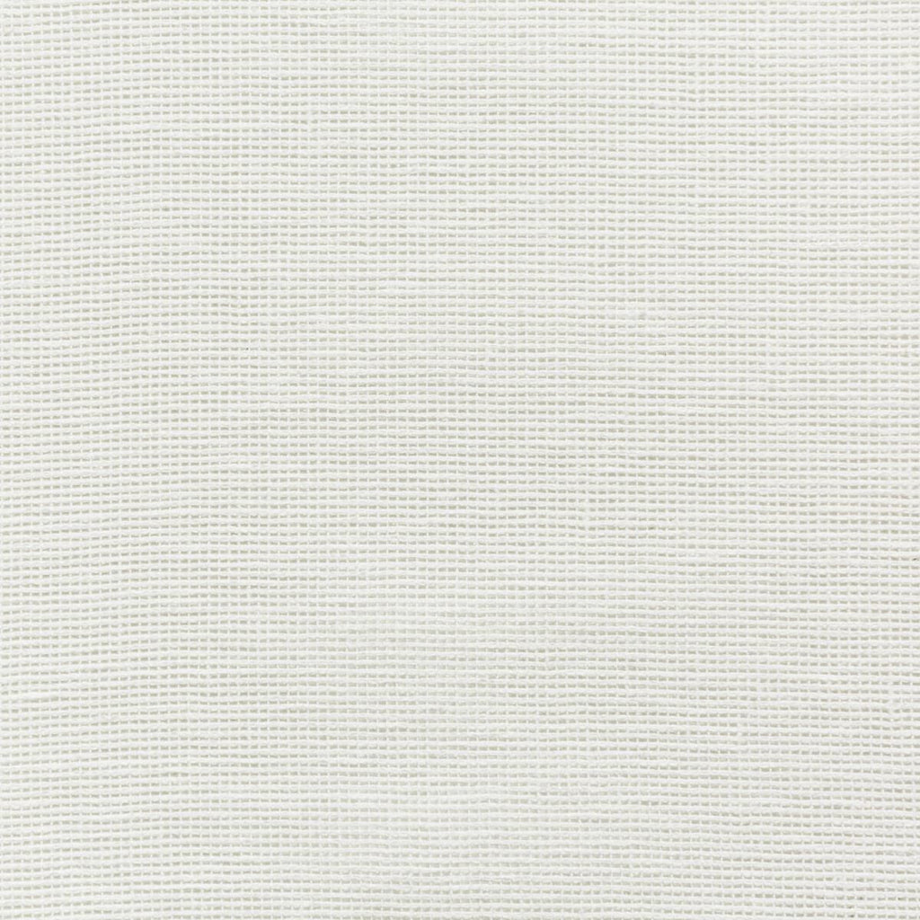 Kravet KRAVET BASICS 4675-1 Fabric