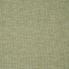 Schumacher Momo Hand Woven Texture Fern Fabric