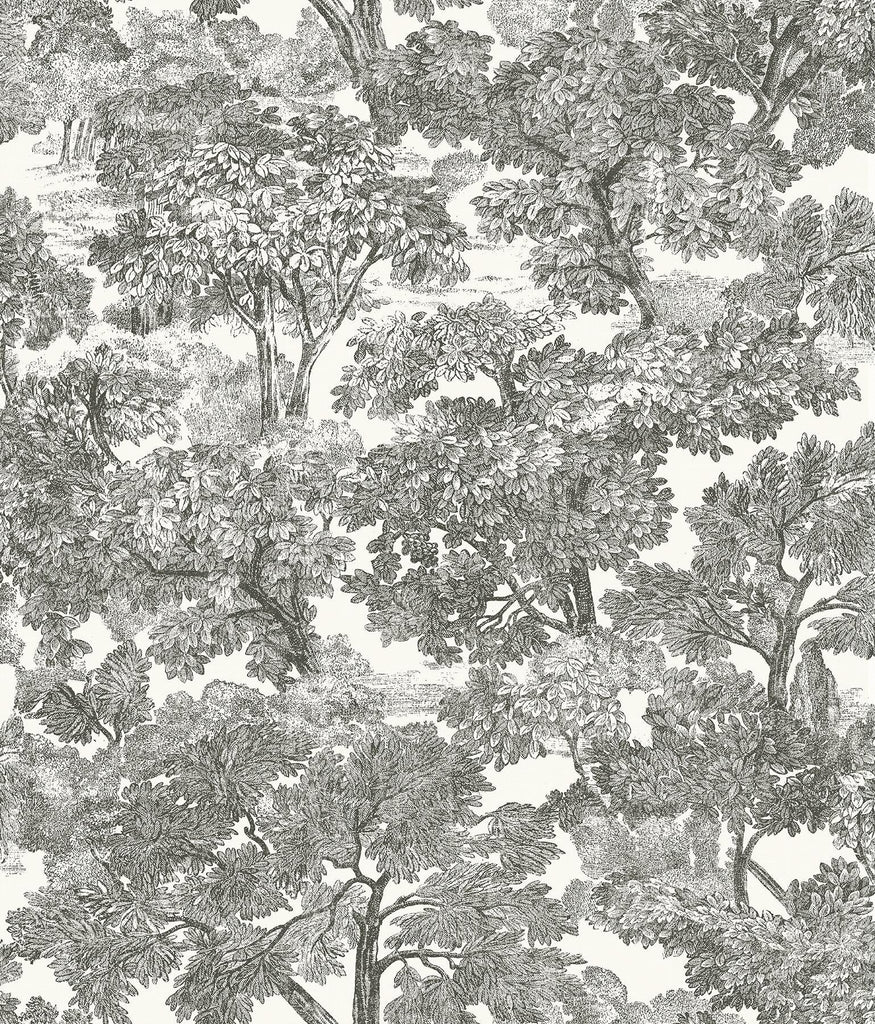 Brewster Home Fashions Spinney Black Toile Wallpaper