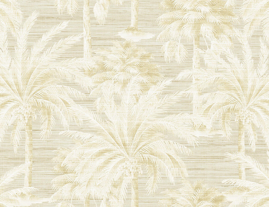 Brewster Home Fashions Dream Of Palm Trees Texture Beige Wallpaper