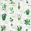 Schumacher Botanicals Greenhouse Wallpaper