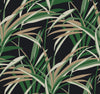 York Tropical Paradise Green/Black Wallpaper