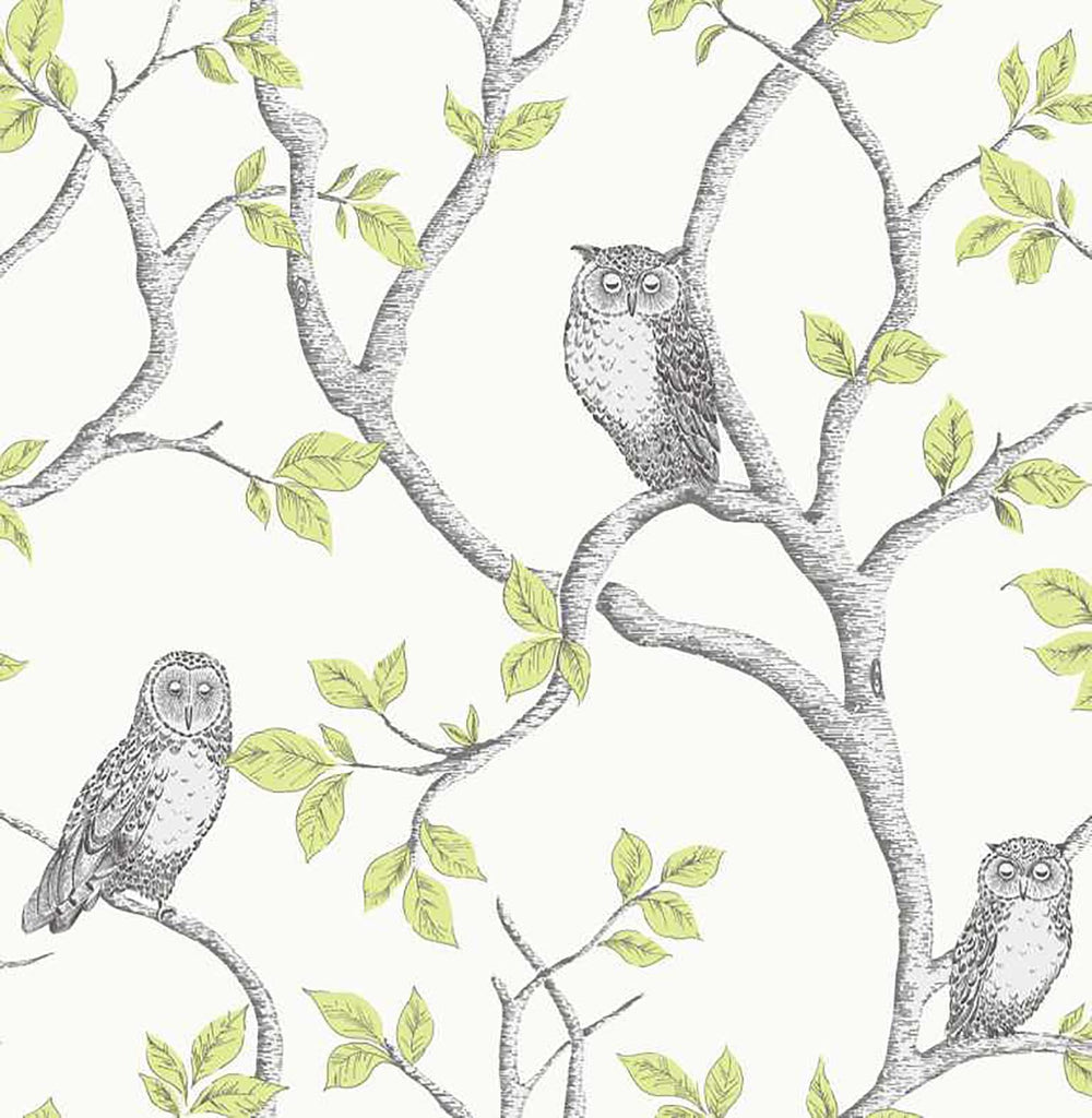 Brewster Home Fashions Linden Green Owl Wallpaper