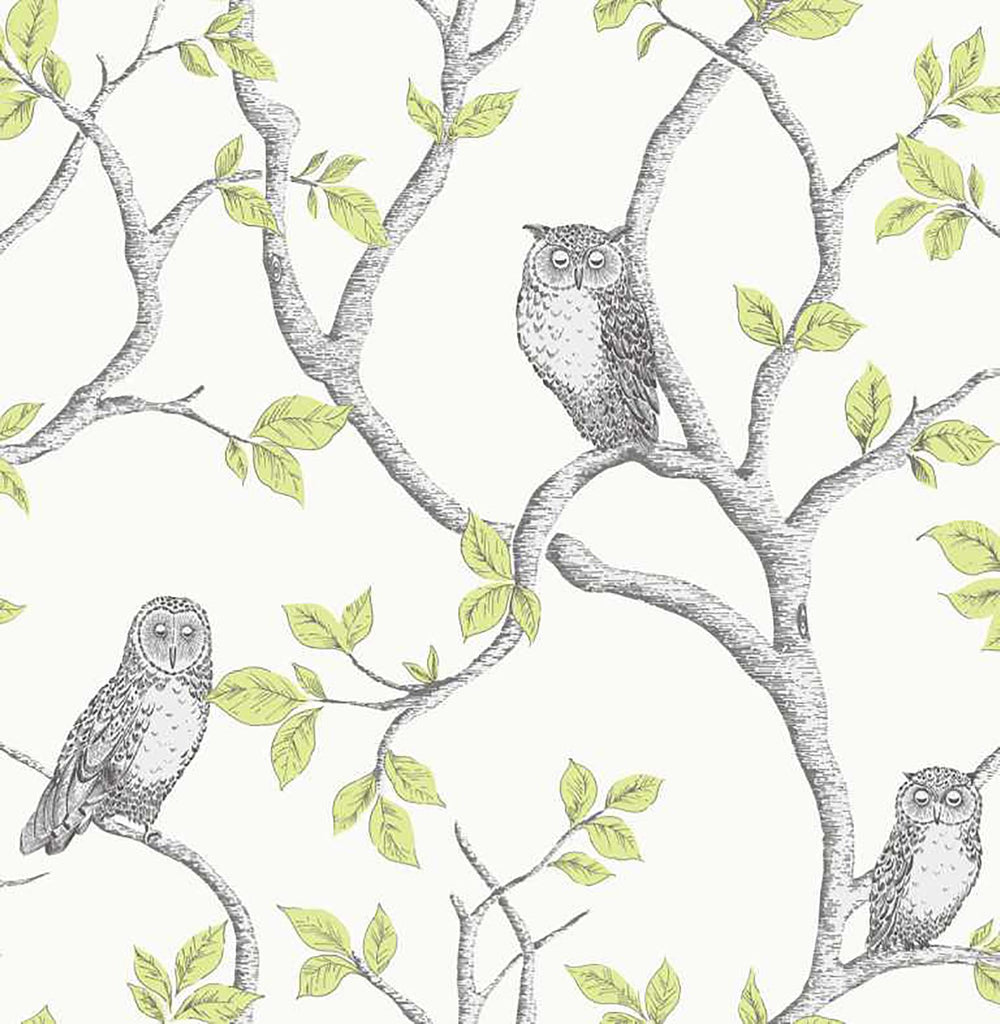 Brewster Home Fashions Linden Owl Green Wallpaper
