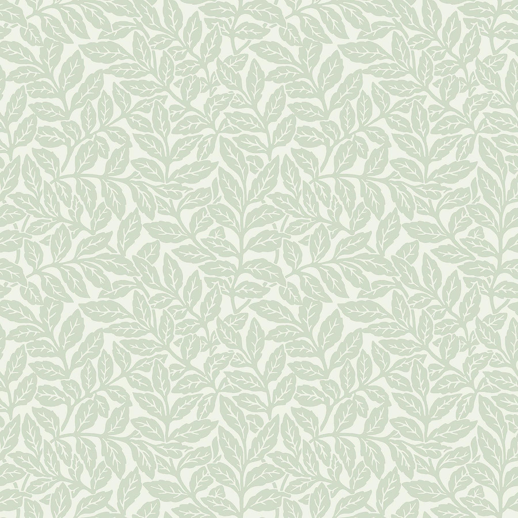 Brewster Home Fashions Ashe Light Green Trails Wallpaper