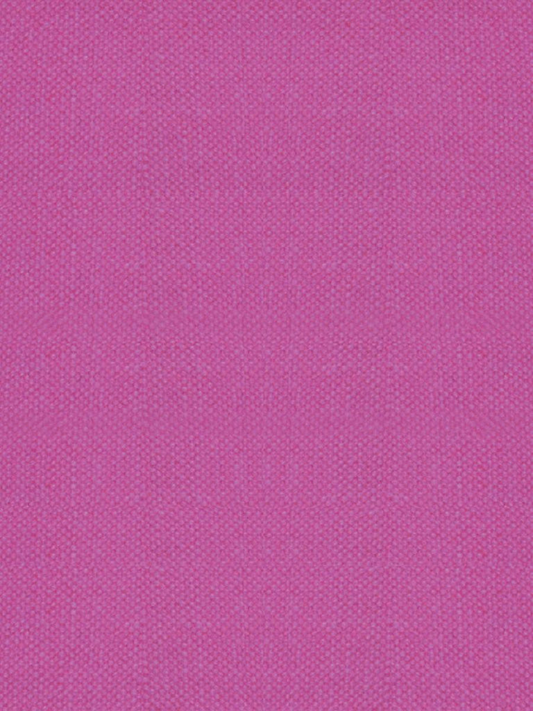Alhambra Aspen Brushed Wide Raspberry Fabric