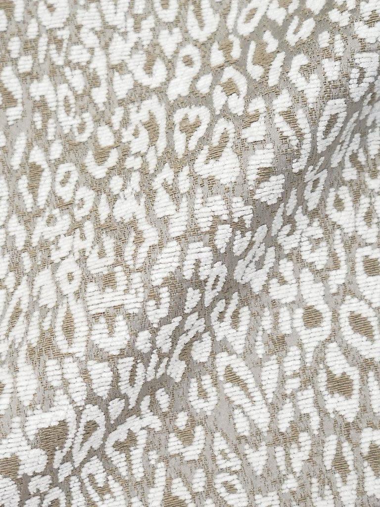 Aldeco Leopard White Star Fabric