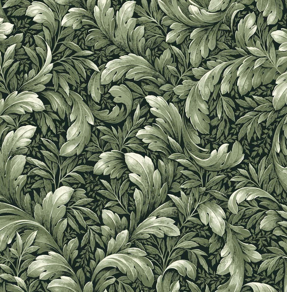 Seabrook Acanthus Trail Forest Green Wallpaper