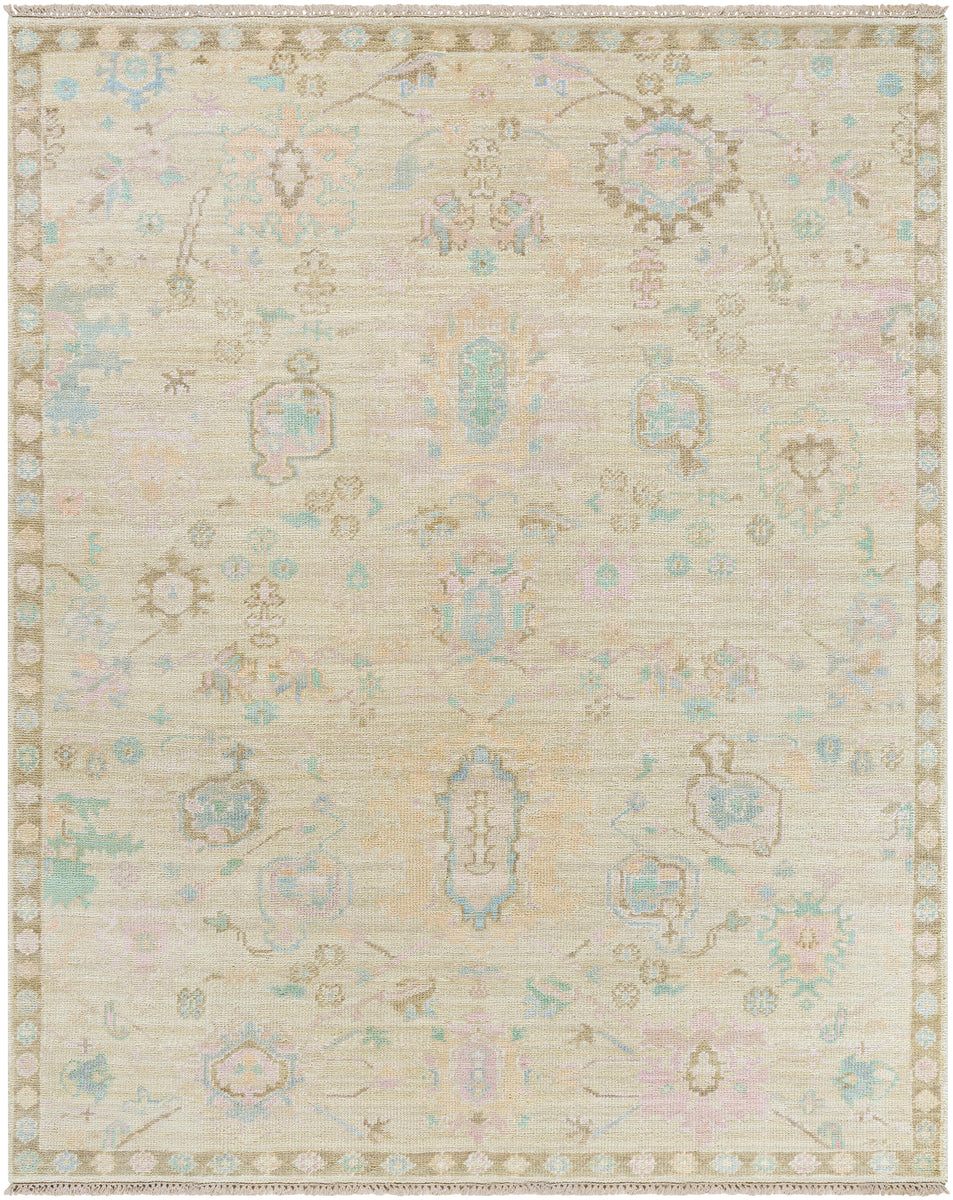 Surya Antalya Aat2307 Blue Dark Brown 10' X 14' Rug DecoratorsBest