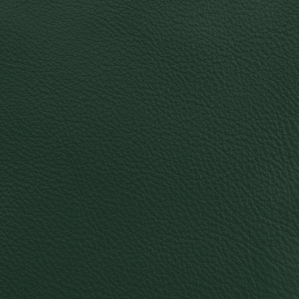 Donghia LUCKY LEATHER SPRUCE Fabric
