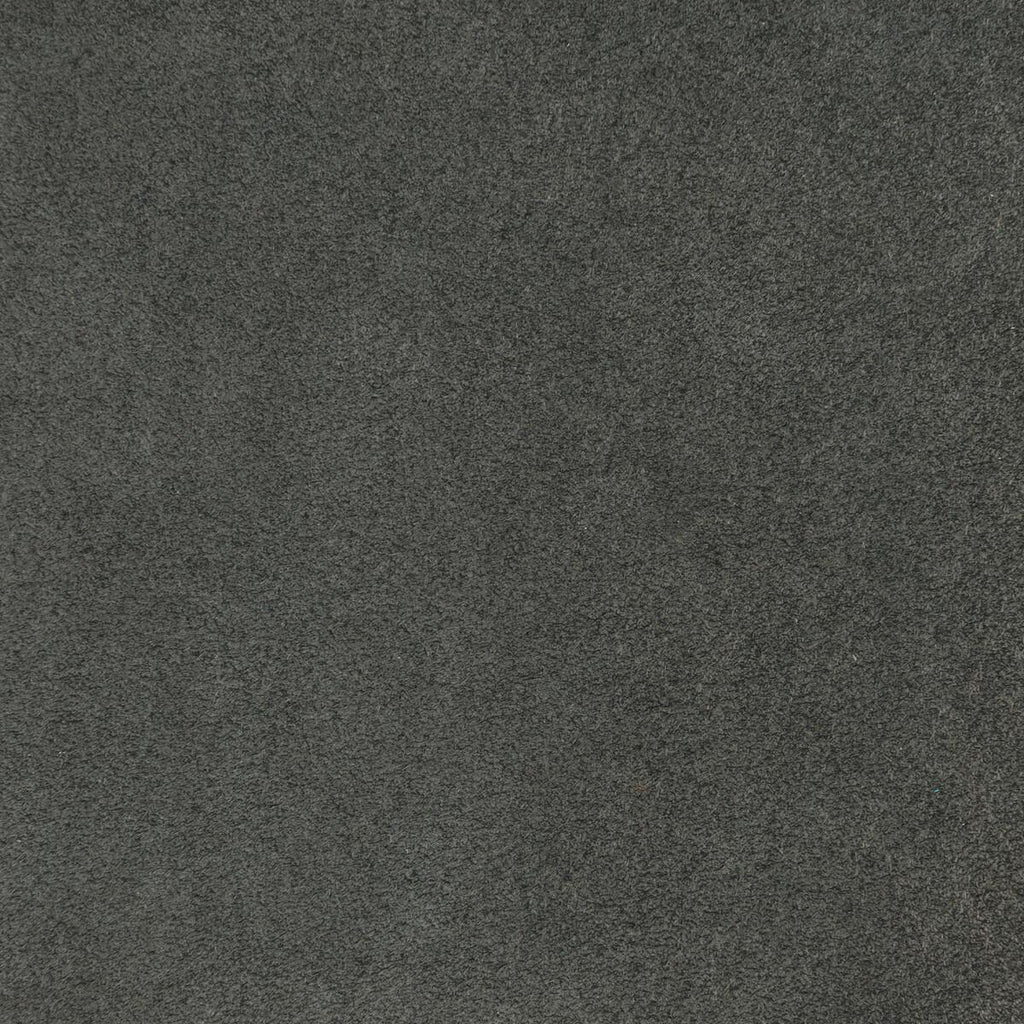 Donghia TOUCHY FEELY FLANNEL Fabric