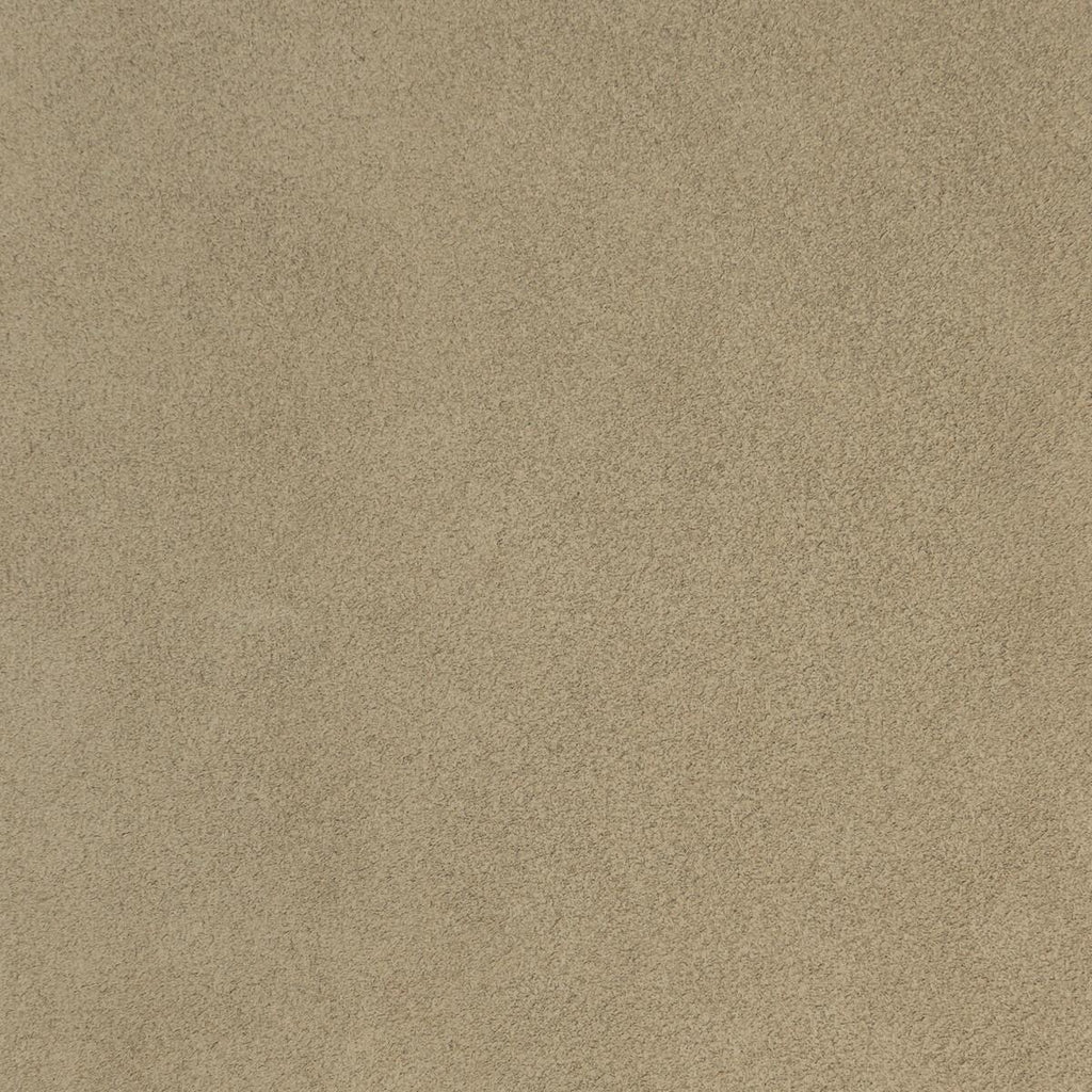 Donghia TOUCHY FEELY STONE Fabric