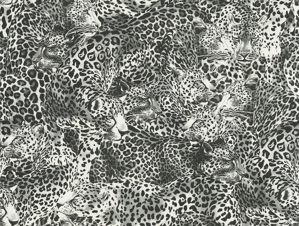 Seabrook Leopardo Incognito Blacks Wallpaper