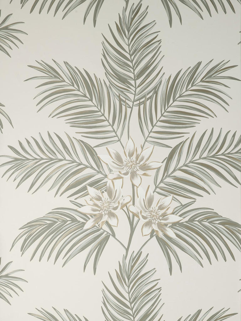 Brewster Home Fashions Bali Light Grey Palm Wallpaper