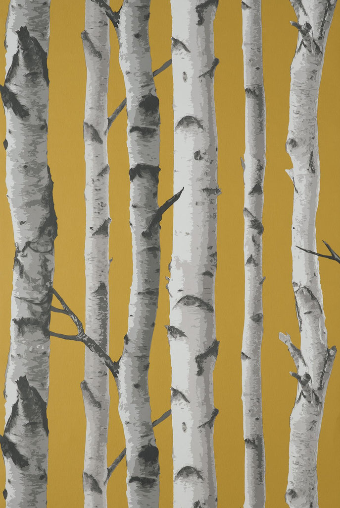 Brewster Home Fashions Chester Mustard Birch Trees Wallpaper