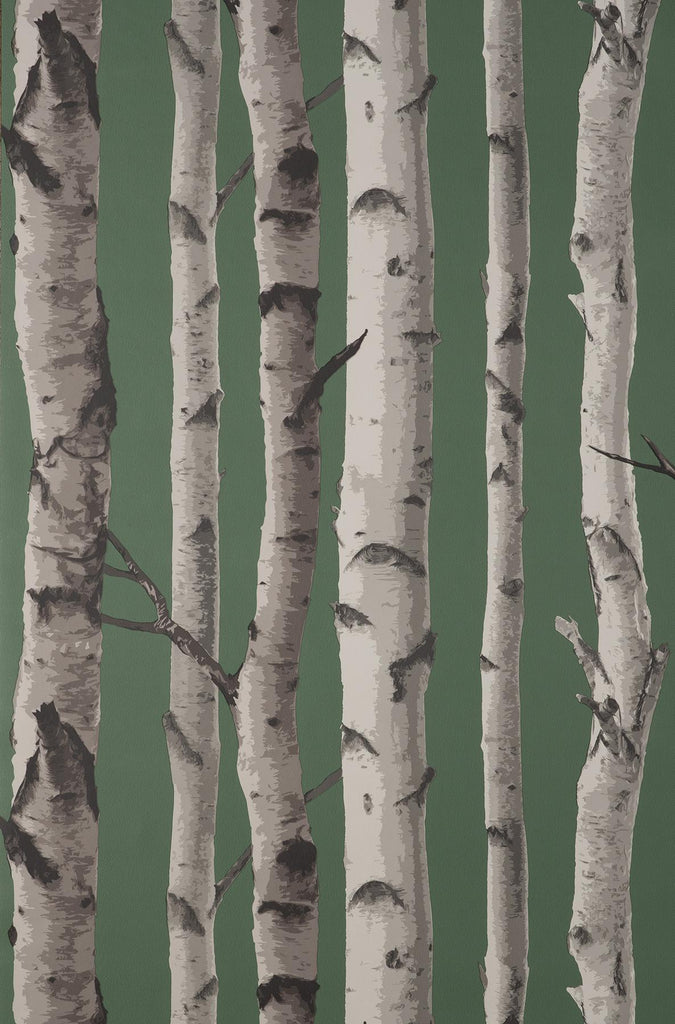Brewster Home Fashions Chester Dark Green Birch Trees Wallpaper