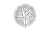 Phillips Collection Wire Tree Large Circle Metal Black Wall Art