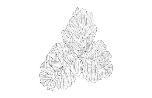Phillips Collection Tri Leaf Wall Art Large Metal Silver/Black Accent
