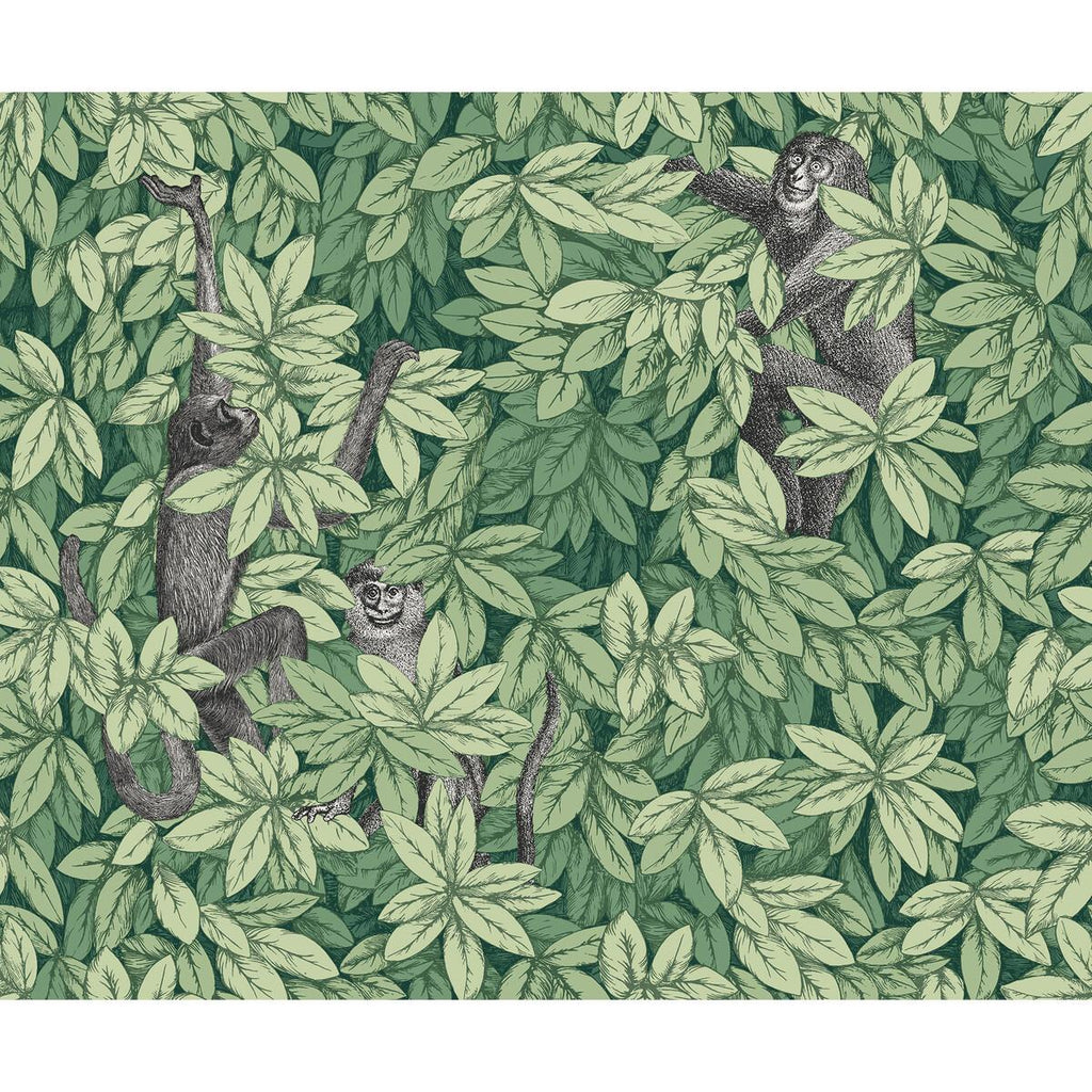 Cole & Son FOGLIE E SCIMMIE GREEN Wallpaper