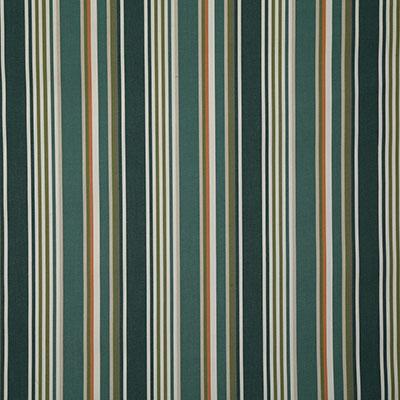 Pindler DARTMOOR FOREST Fabric