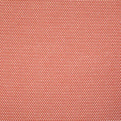 Pindler GAINSVILLE CORAL Fabric