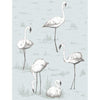 Cole & Son Flamingos Charcoal/Aqua Wallpaper