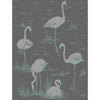 Cole & Son Flamingos Teal/Slvr/Bk Wallpaper