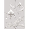 Cole & Son Orchid Grey/White Wallpaper