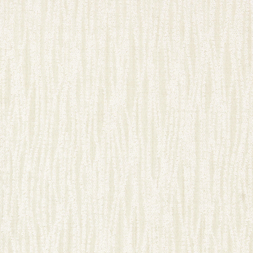 Stout WEBSTER SHELL Fabric