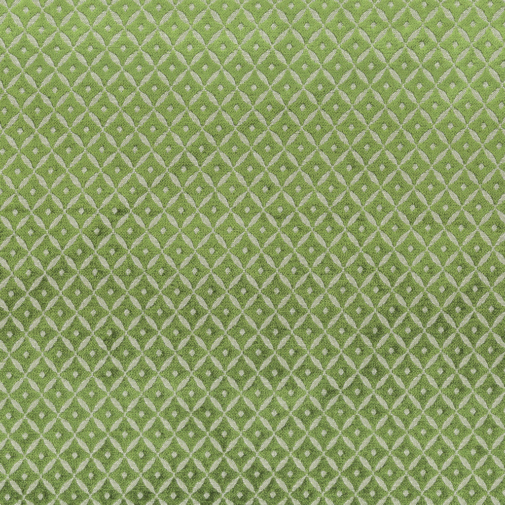 Stout PACIFIC CHIVE Fabric