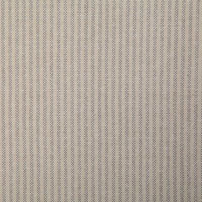 Pindler CAMPBELL SHALE Fabric