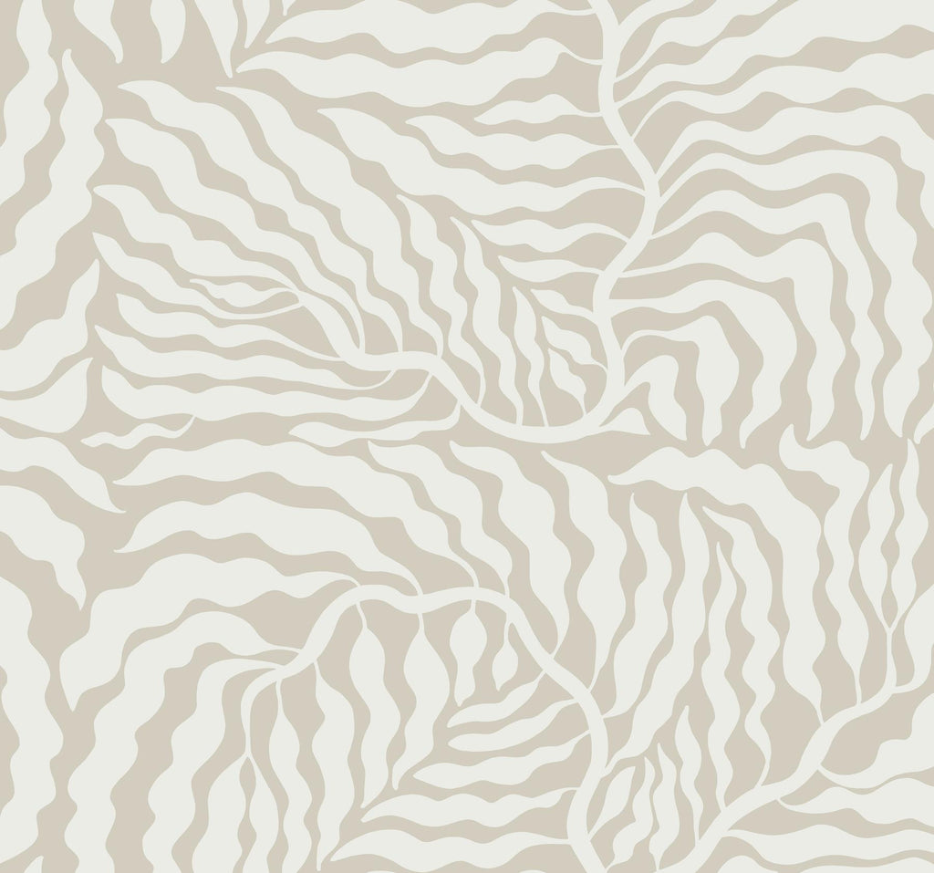 York Taupe & White Fern Fronds Beige Wallpaper