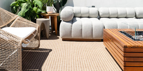 Beige Area Rugs