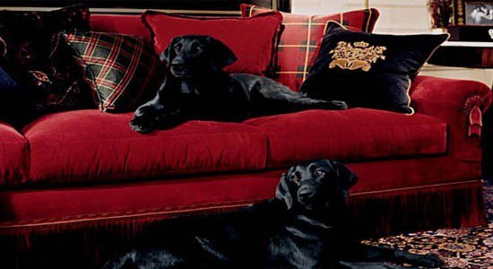 red velvet upholstered sofa, designer velvets, luxurious velvet fabric, upholstery velvet, red and black throw pillows, plaid throw pillows, black medallion velvet throw pillow, traditional area rug, designer upholstery velvet fabric