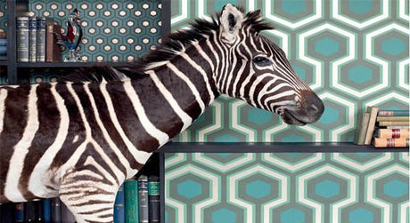 geometric wallpaper blue green gray white black wall books zebra