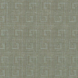 Kasmir Labyrinth Monsoon Fabric